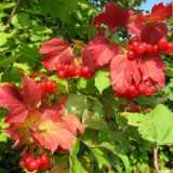 1609F 032 Spree und Havel